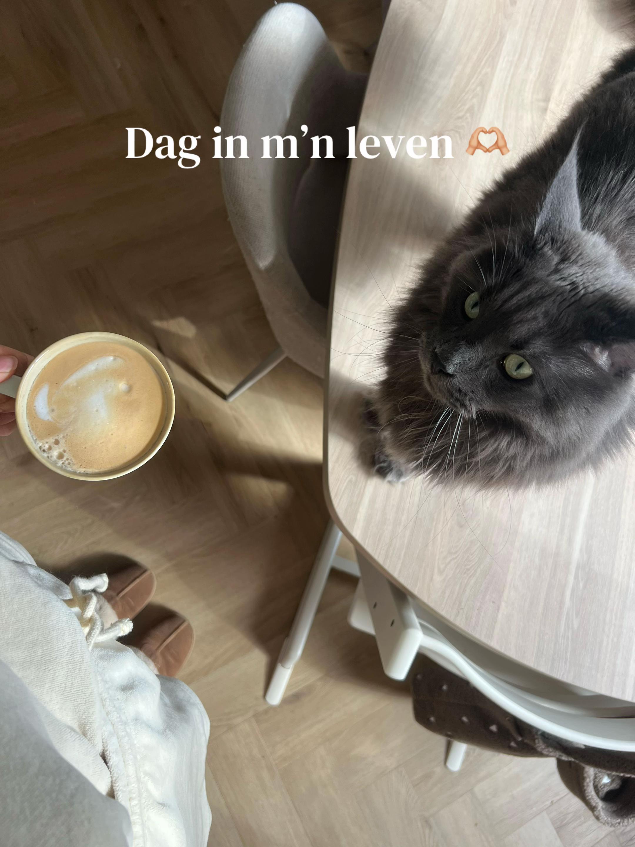 @Hanna van den Heuvel