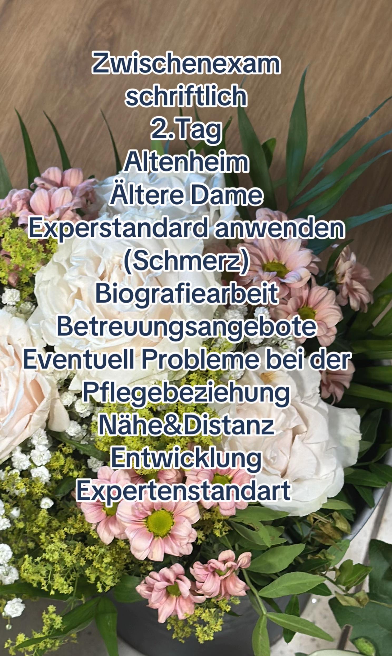 @pflegemaus