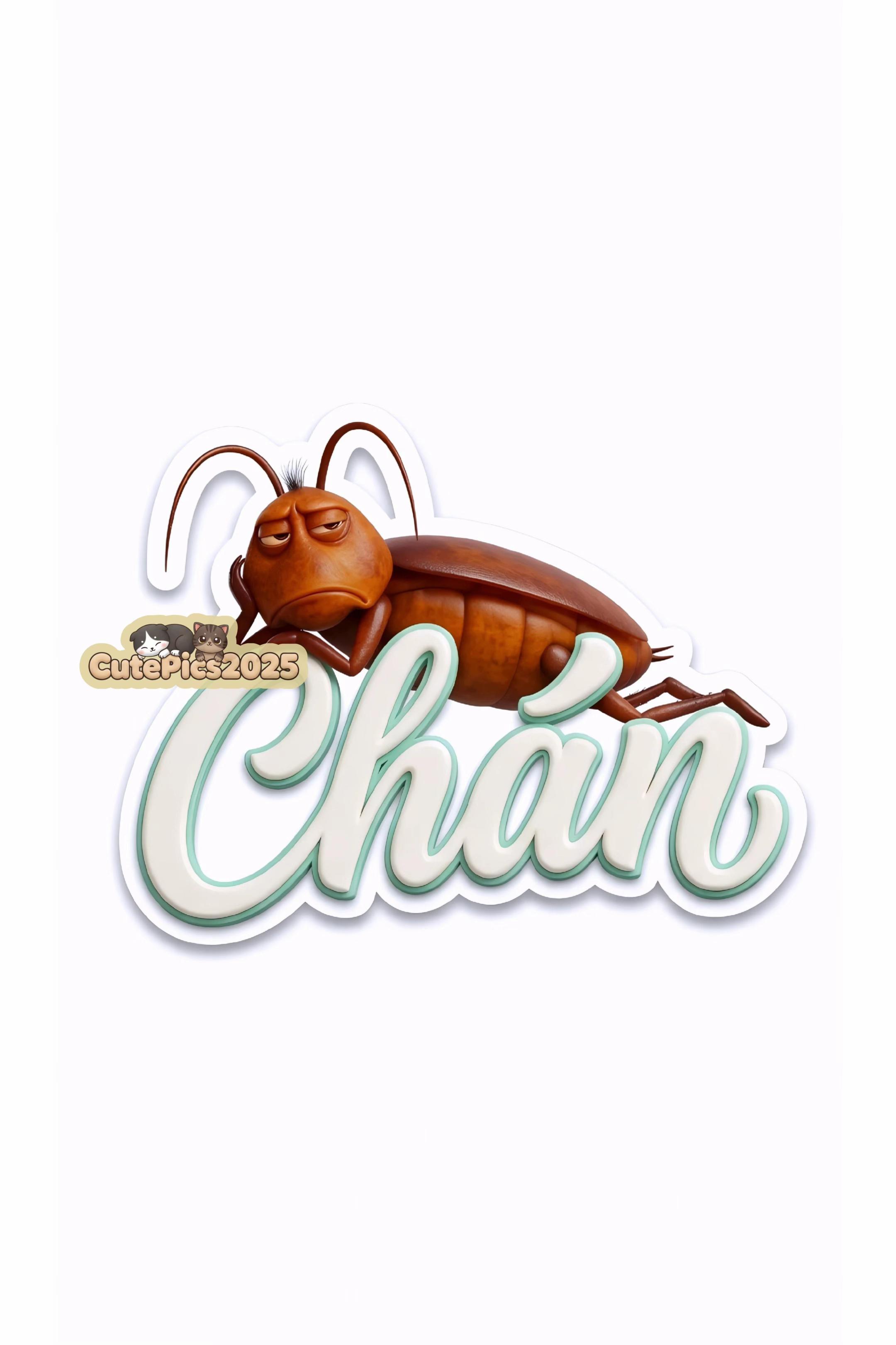 @Cute Pics