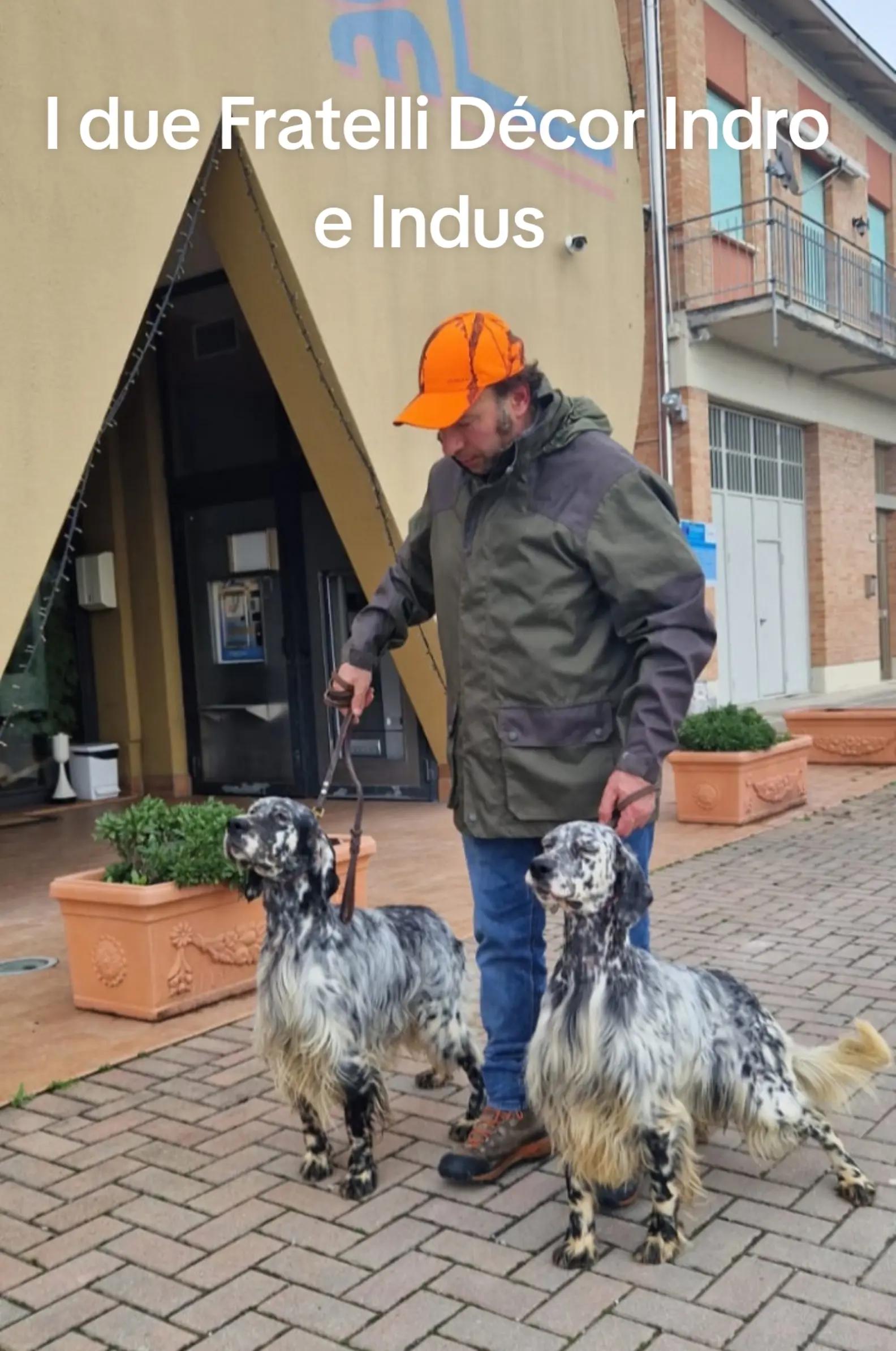 @antoniocasaroricc