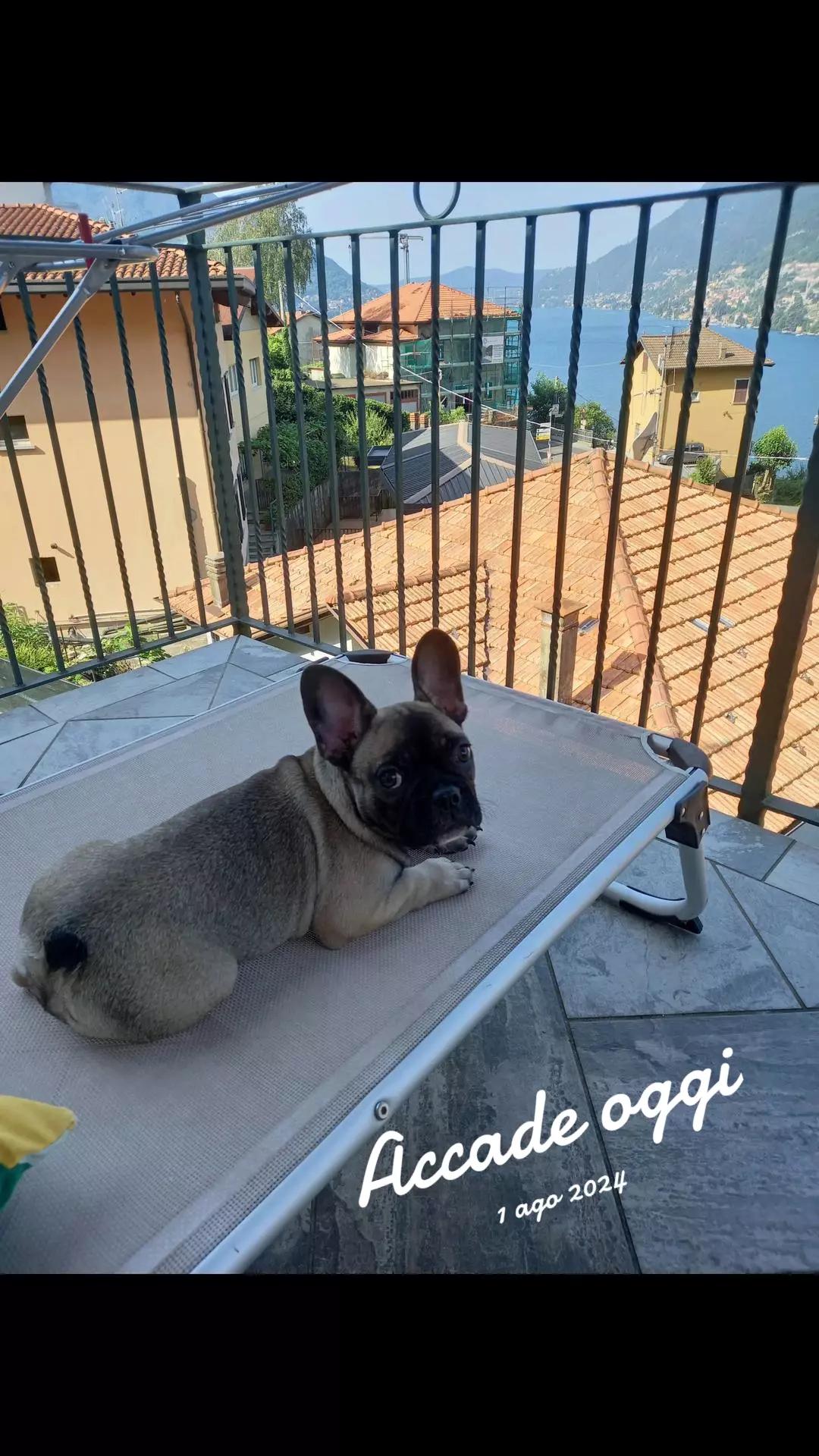 @Andrea Micheletti