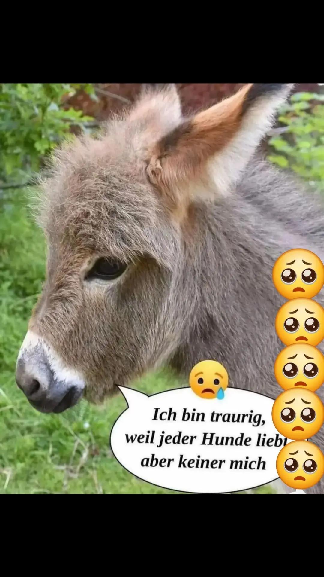 @Mali