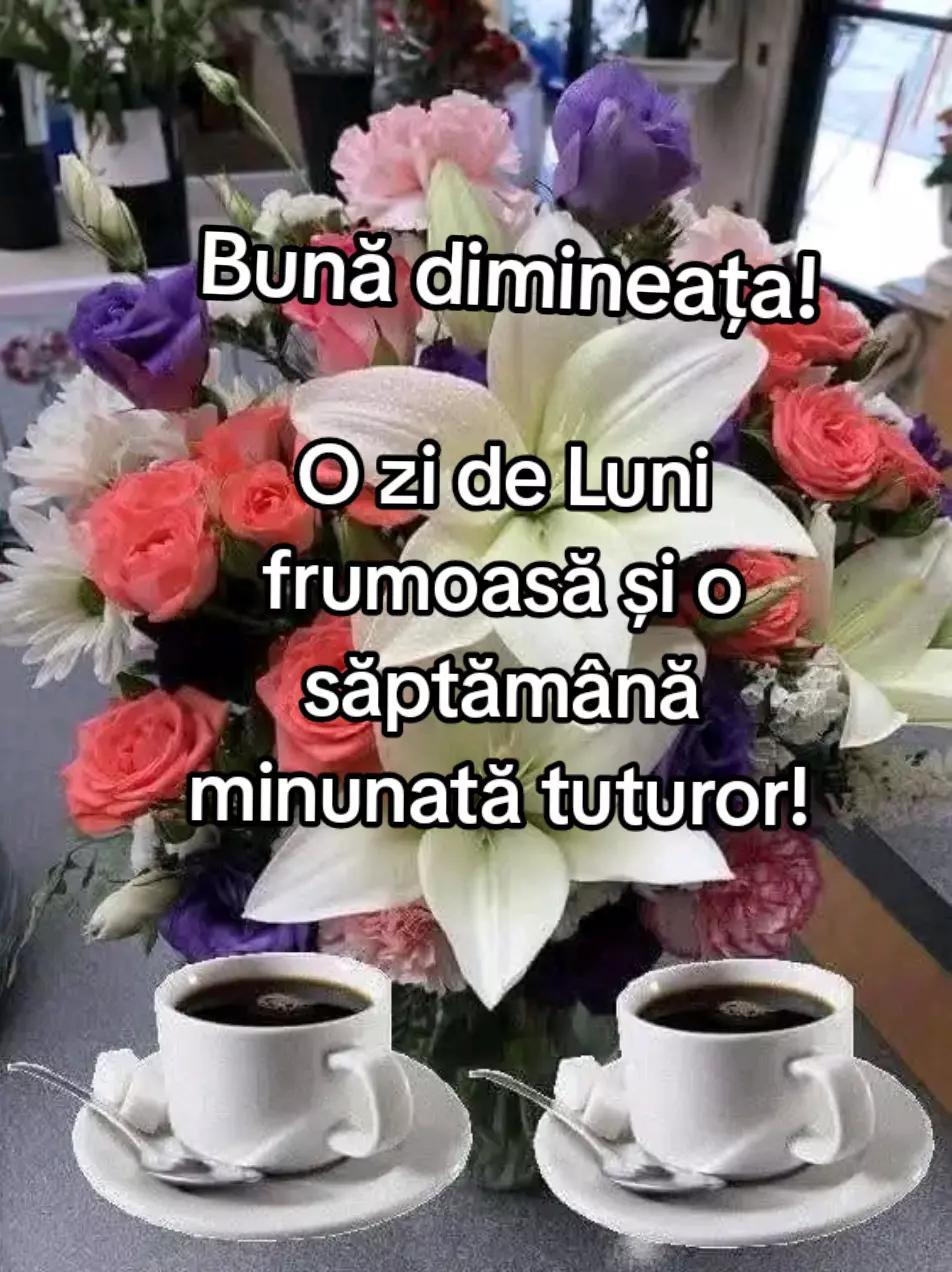@Cory ❤️❤️