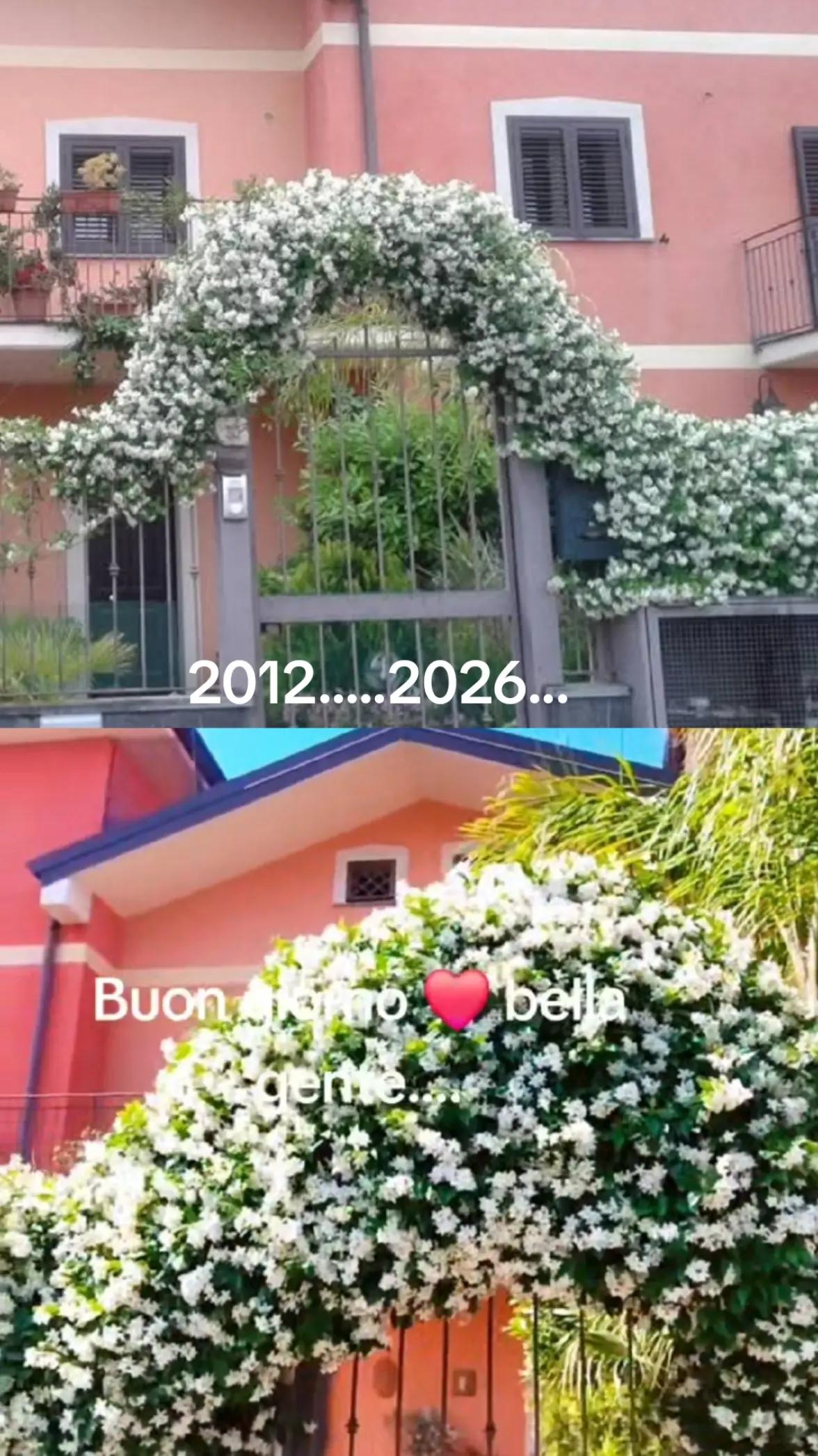 @vincenzoparasiliti2