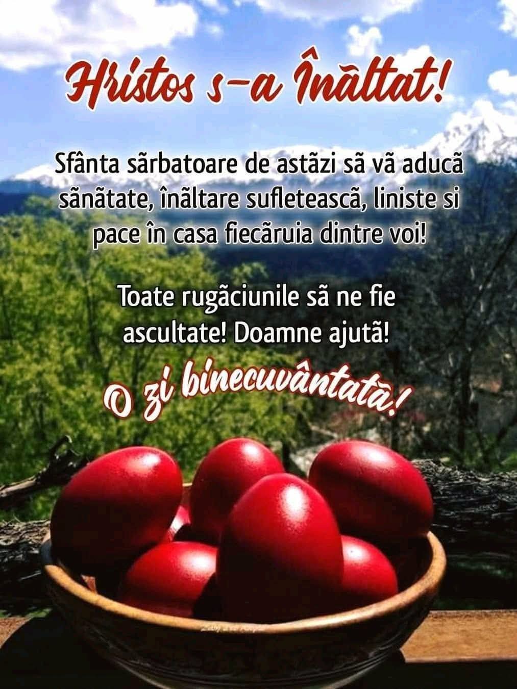 @Mihaela Liliana