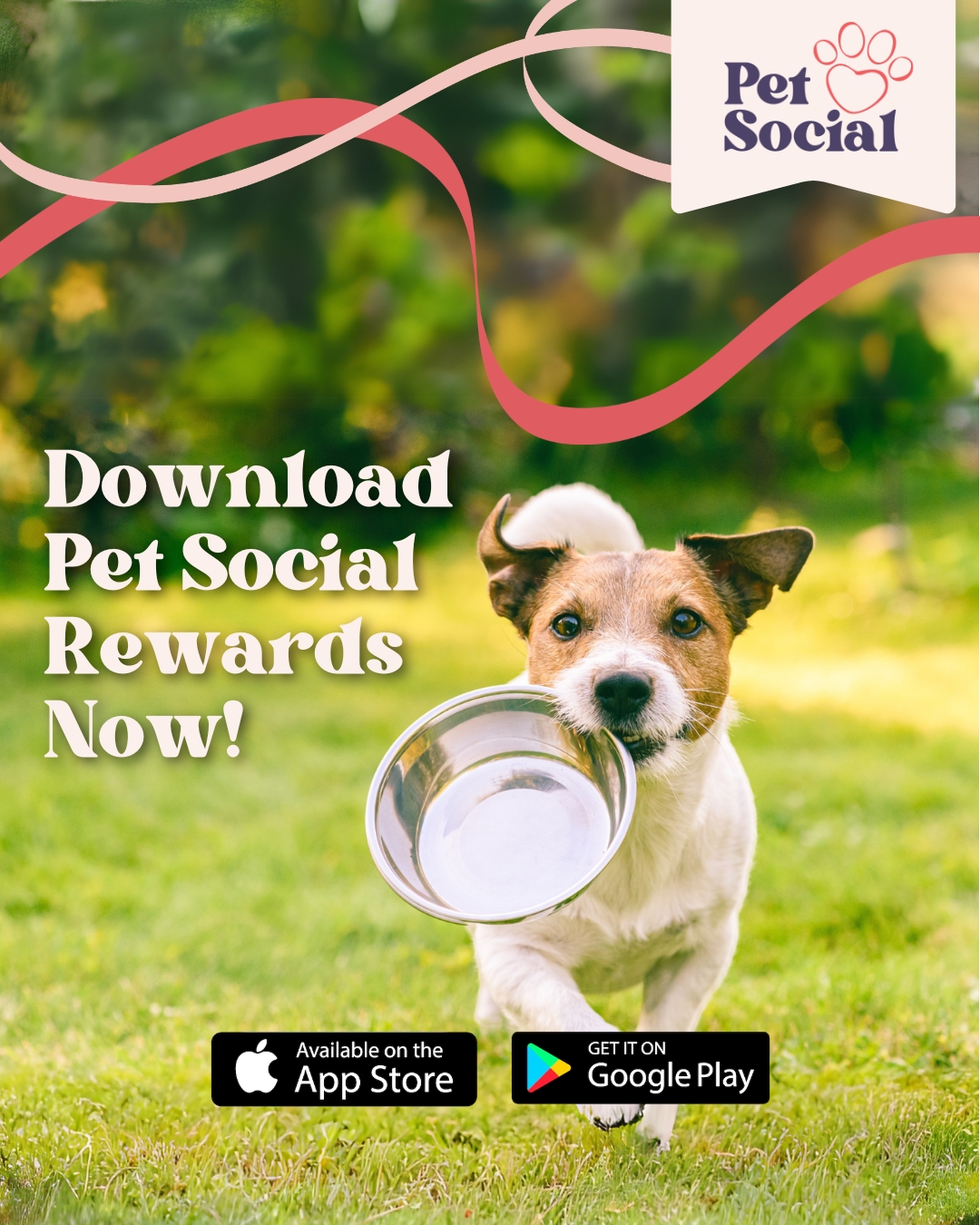 @Pet Social UK