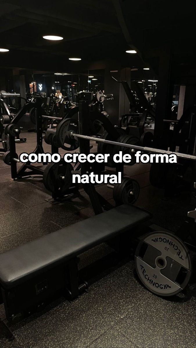 @gnatfaster32