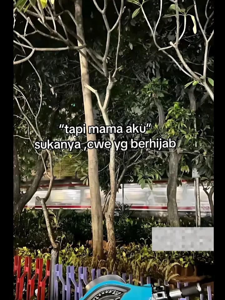 @allyz4_stecu🥊