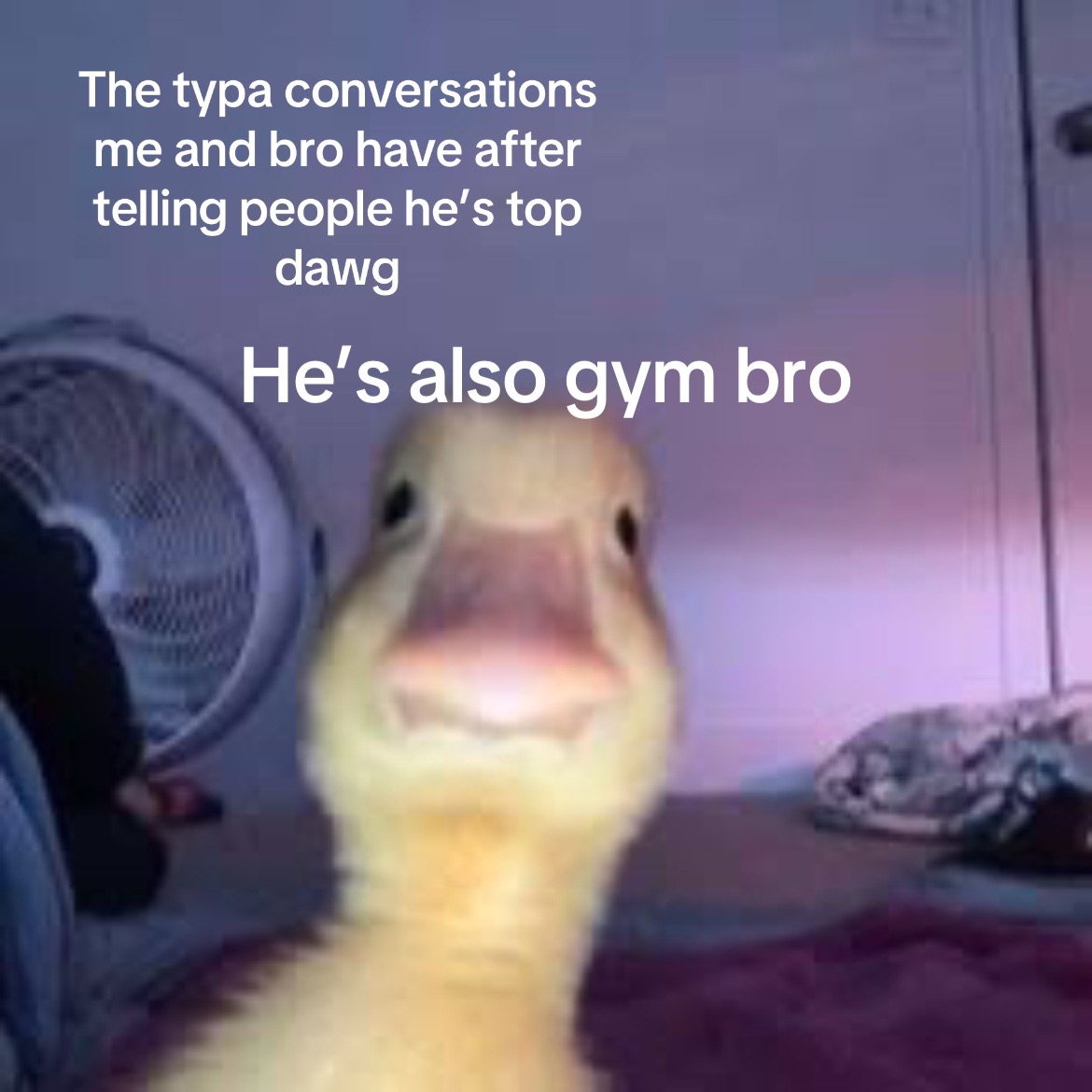 @B0WM∆N | Gym