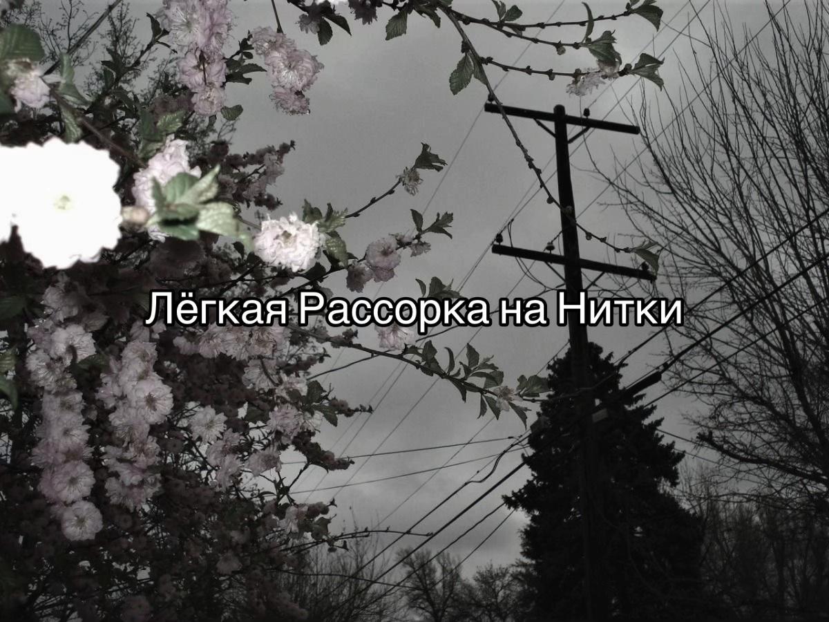 @Scara Cryst 999