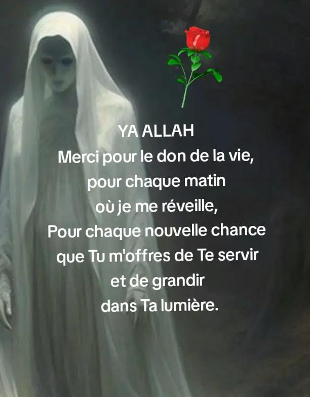 @Mystérieuse Anonyme 07