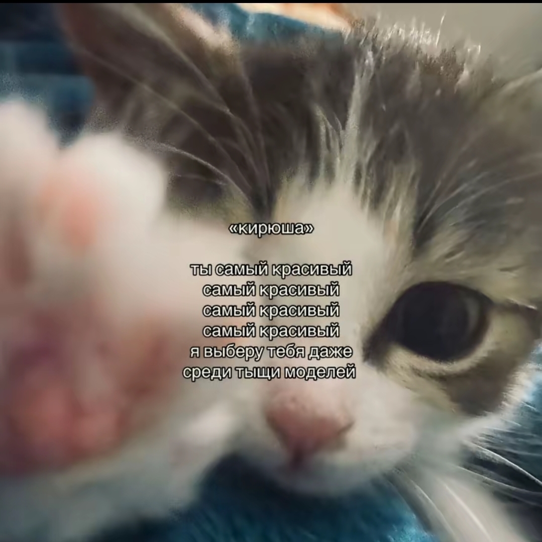 @викос🤍