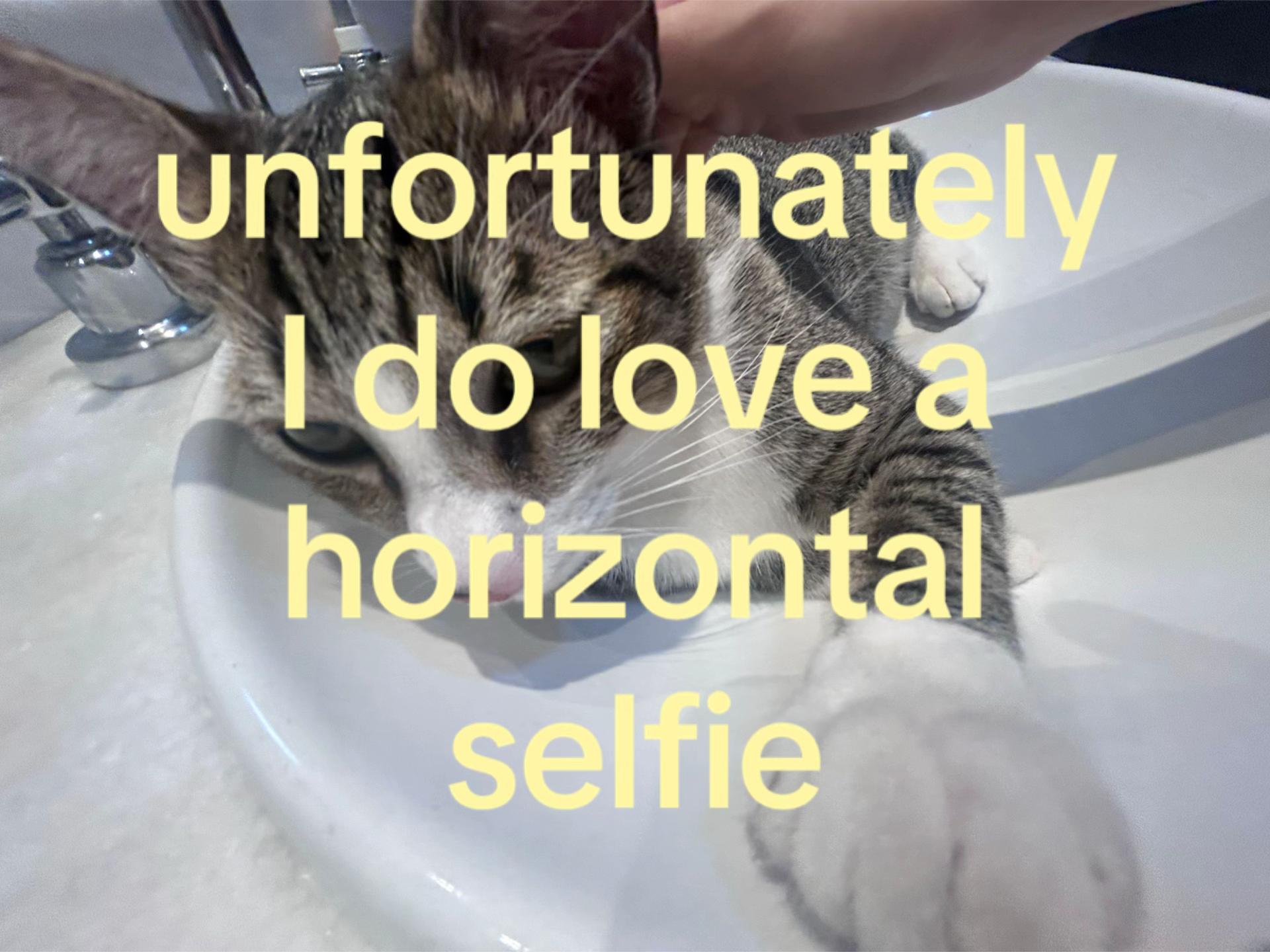 @sofi