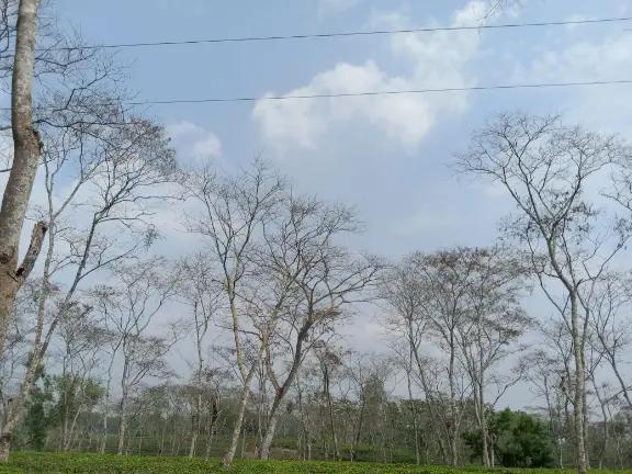 @💝লিপি💝