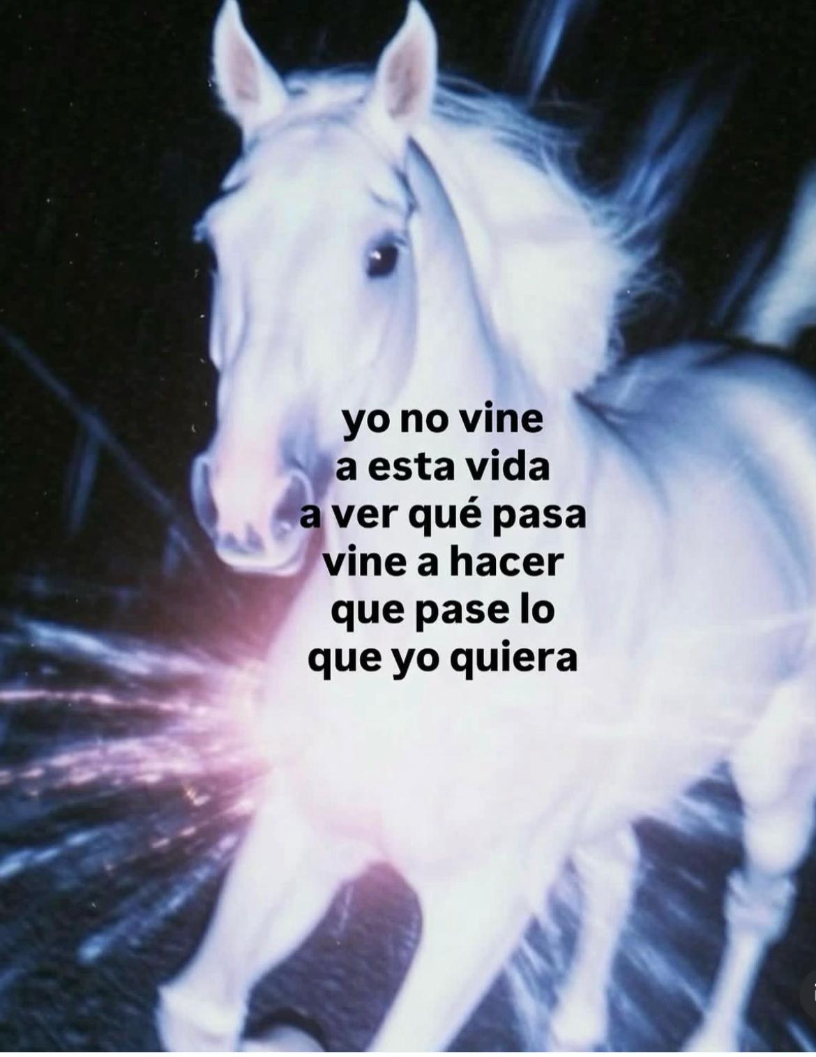 @Shirley | Excelsior