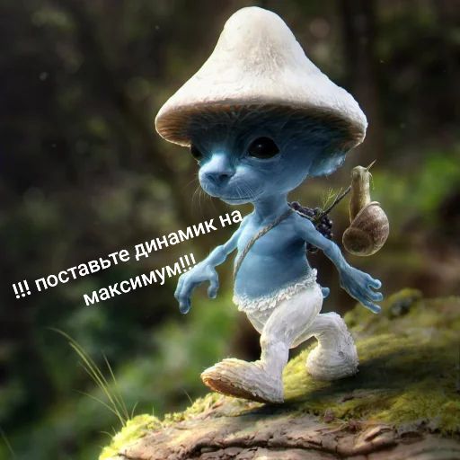 @RAFA
