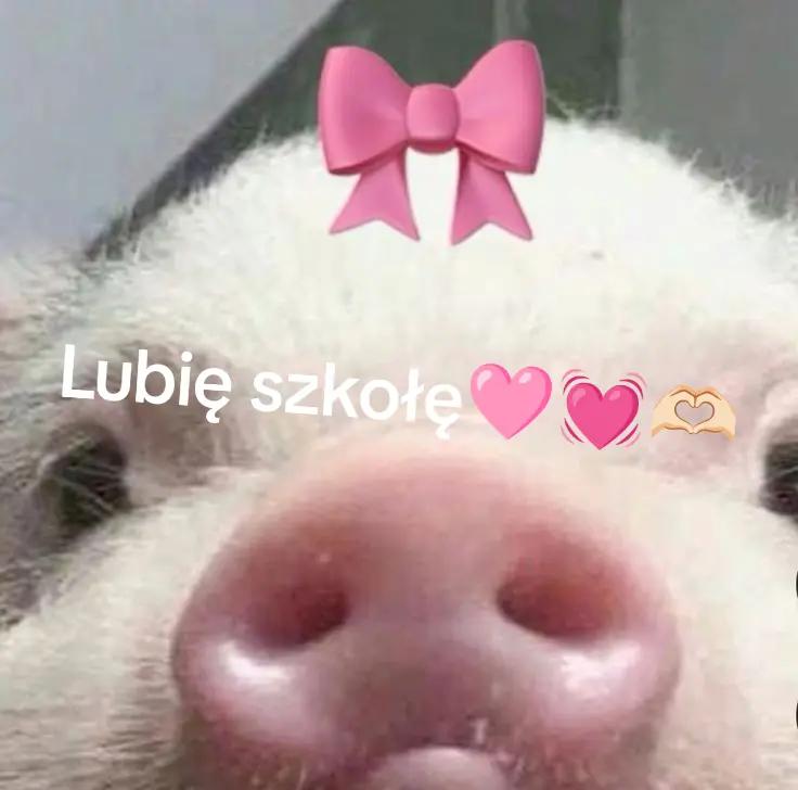 @🎀😽Kicia_401😽🎀