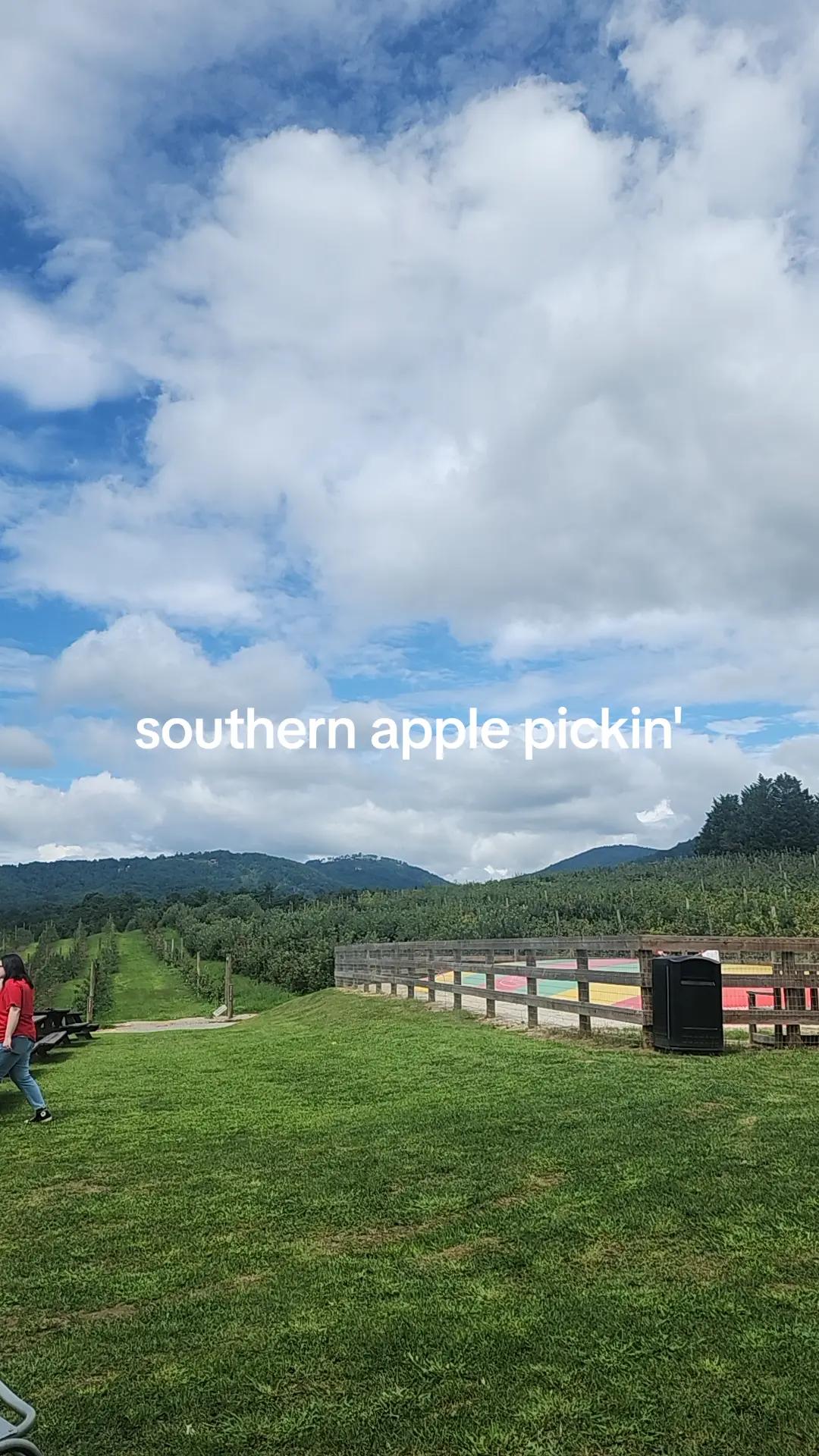 @Almost Perfect Acres