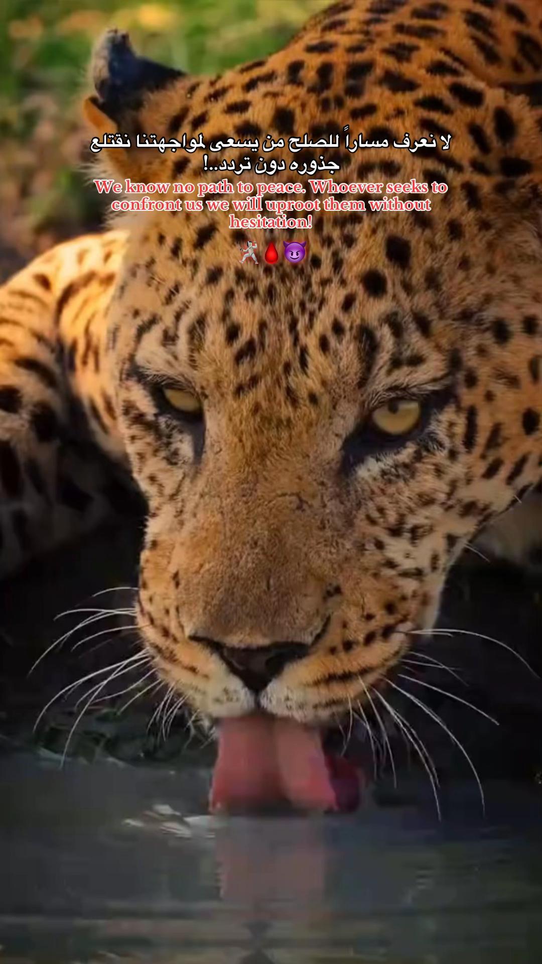 @﮼اللول☝🏼🤴🏼