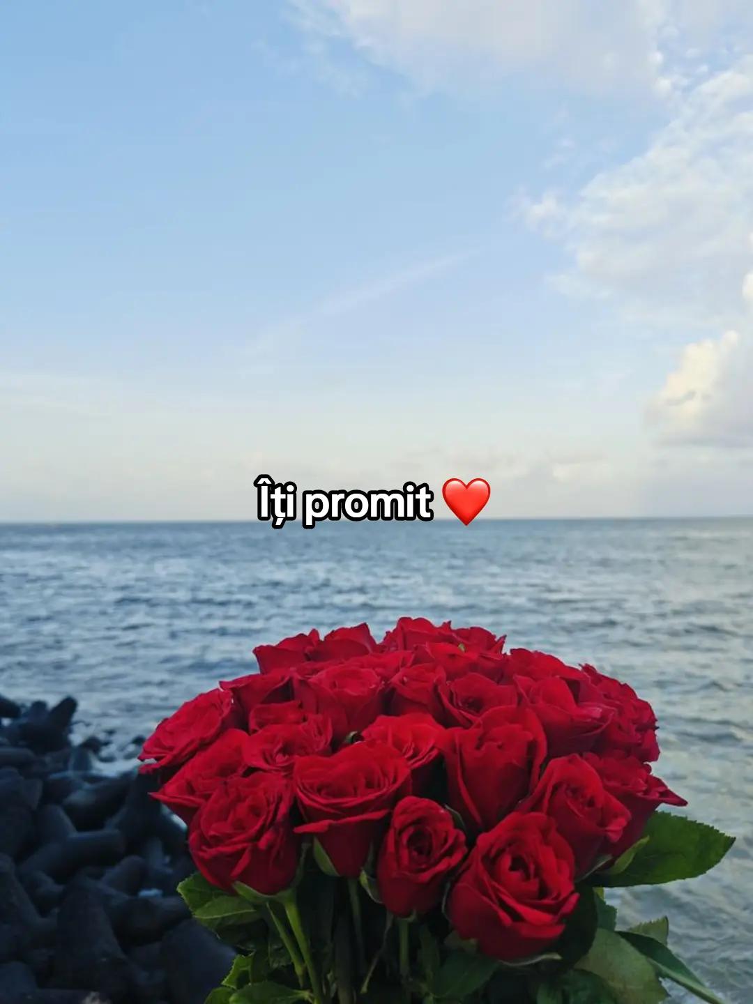 @𝑮𝑰𝑵𝑨&𝑨𝑩𝑬𝑳 𝑴𝑼𝑺𝑰𝑪❤️