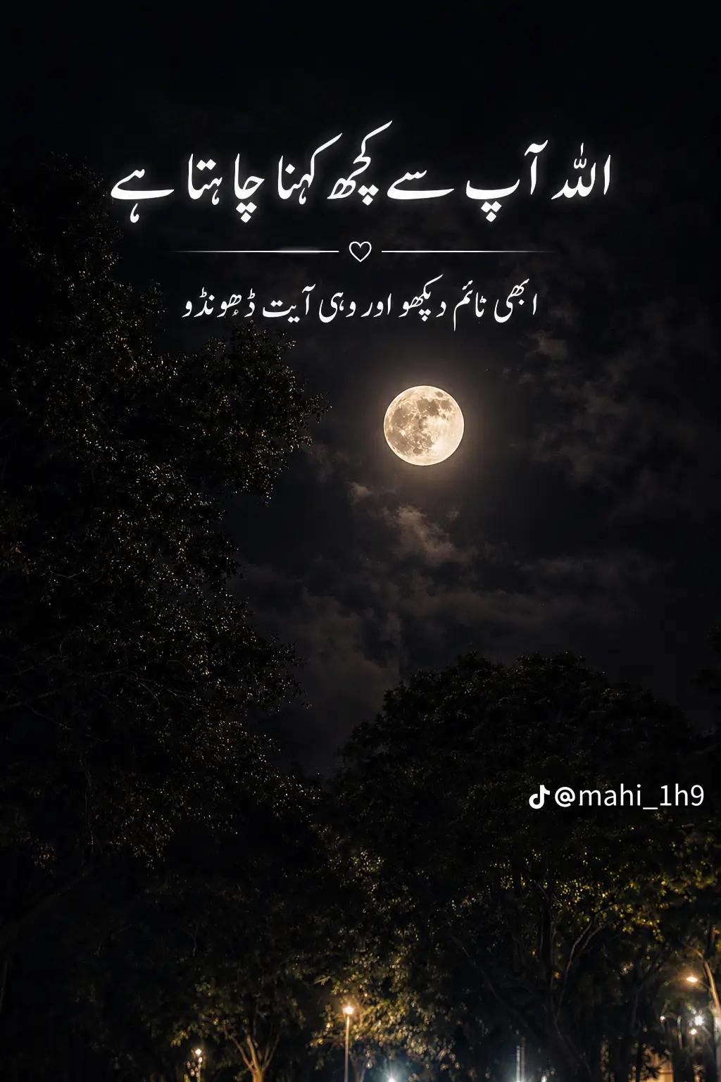 @❂حمید🍁