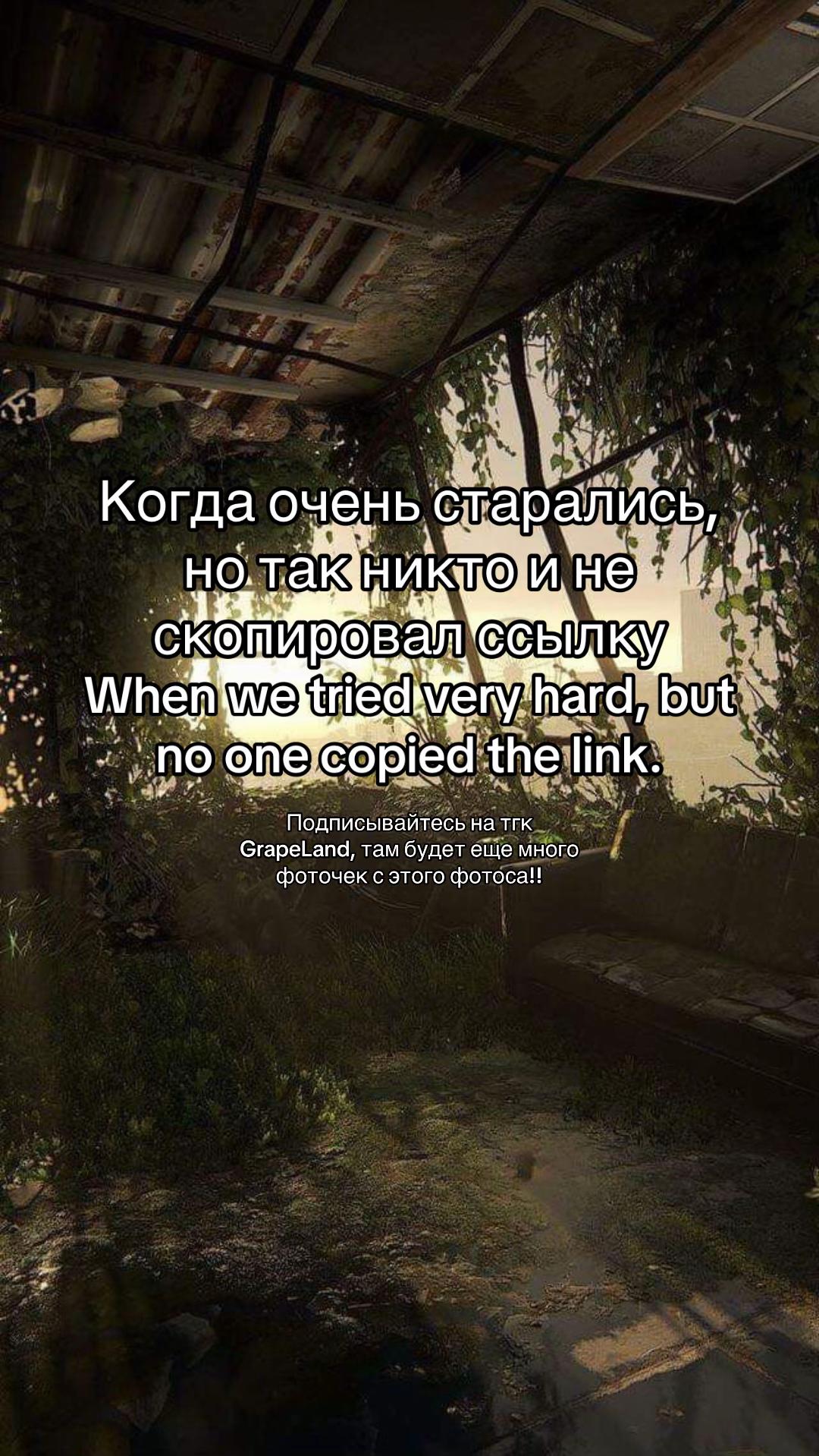 @グレープ