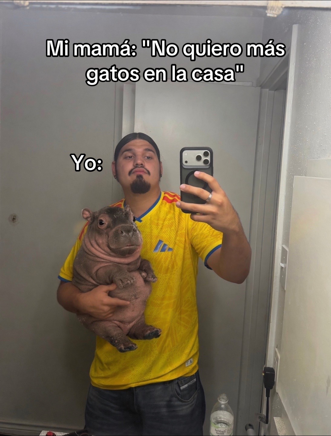 @Joryi Tabarez🔱