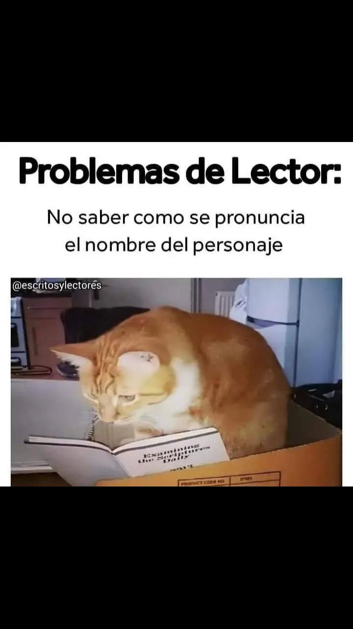 @Marisela_N.
