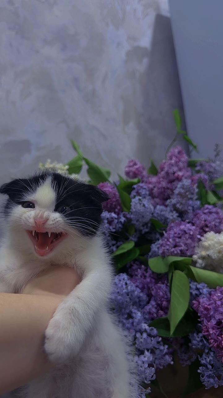 @𝕸𝖆𝖒𝖒𝖞