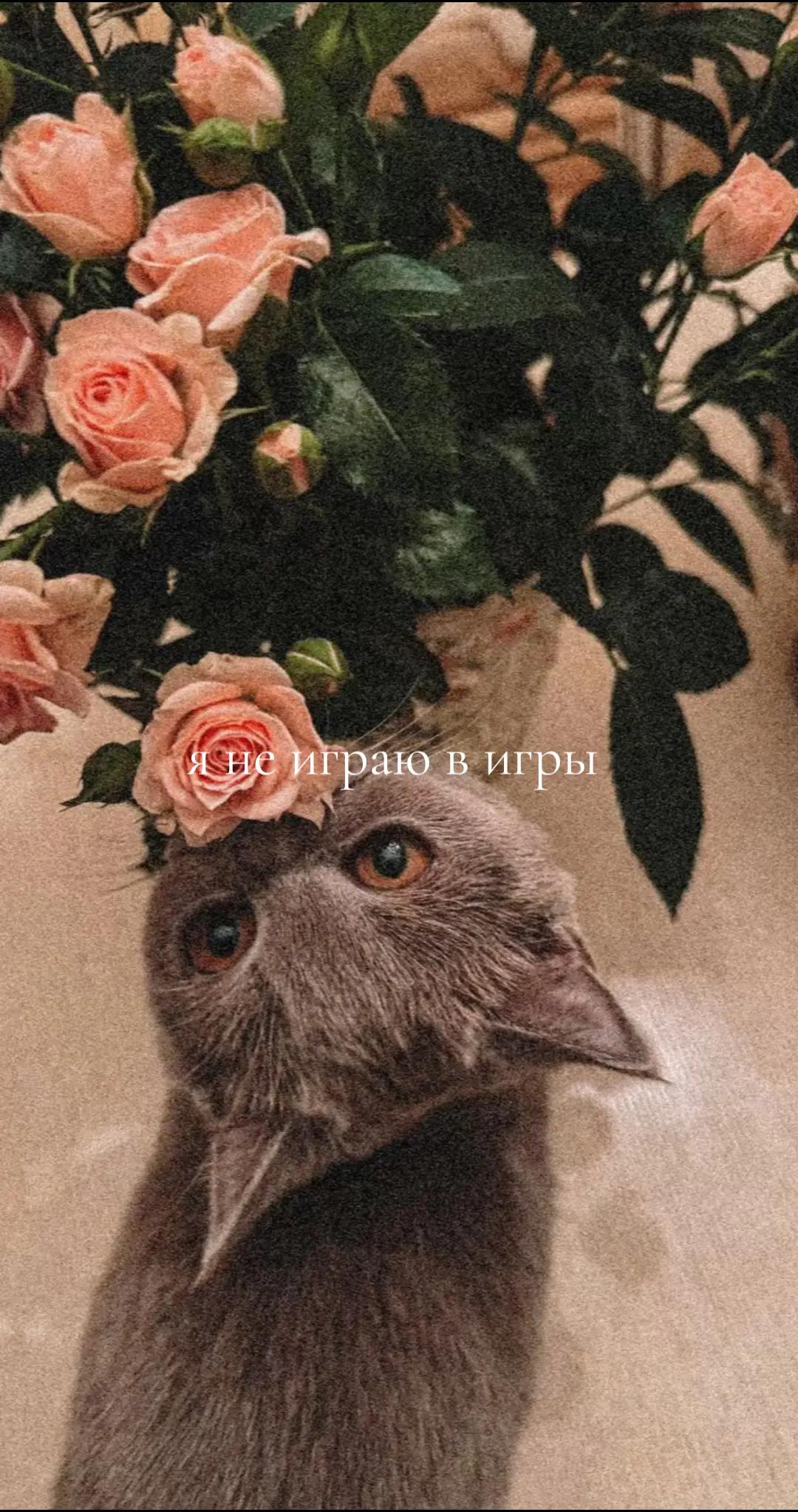 @здесь грустно