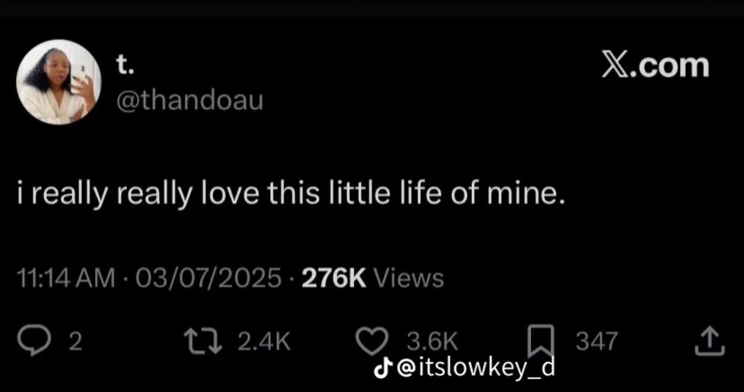 @L ᥫ᭡.