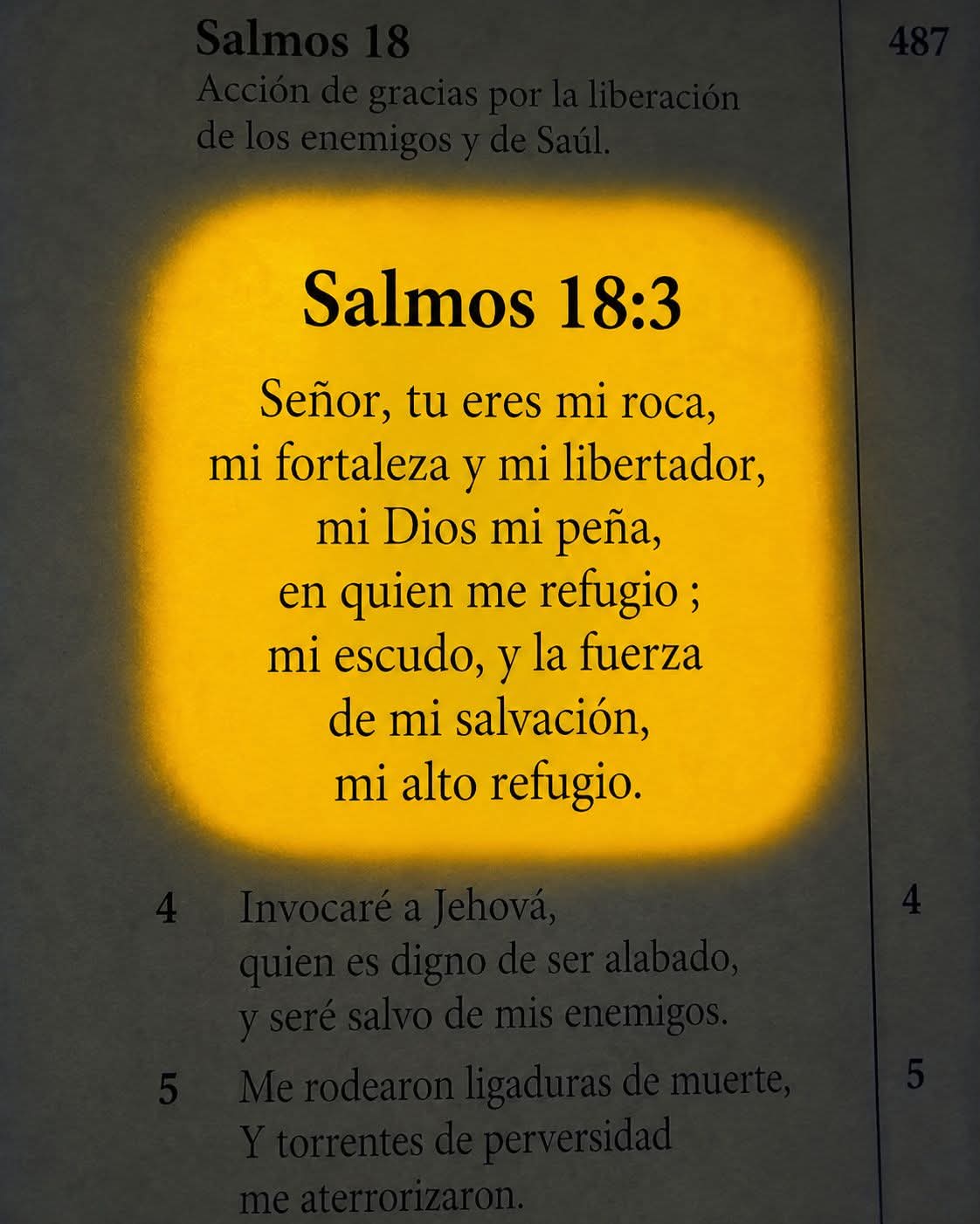 @MELI HERNANDEZ 🇬🇹🇬🇹🇬🇹502