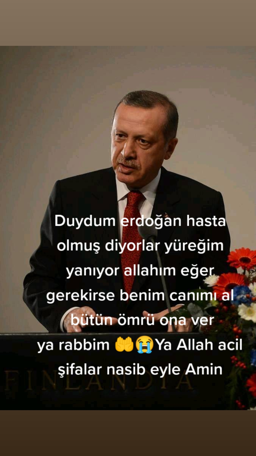 @mujibullahdanish