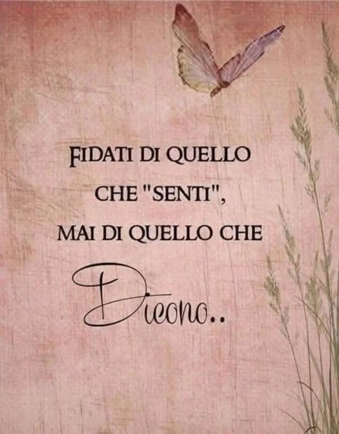 @Paola Di Caprio
