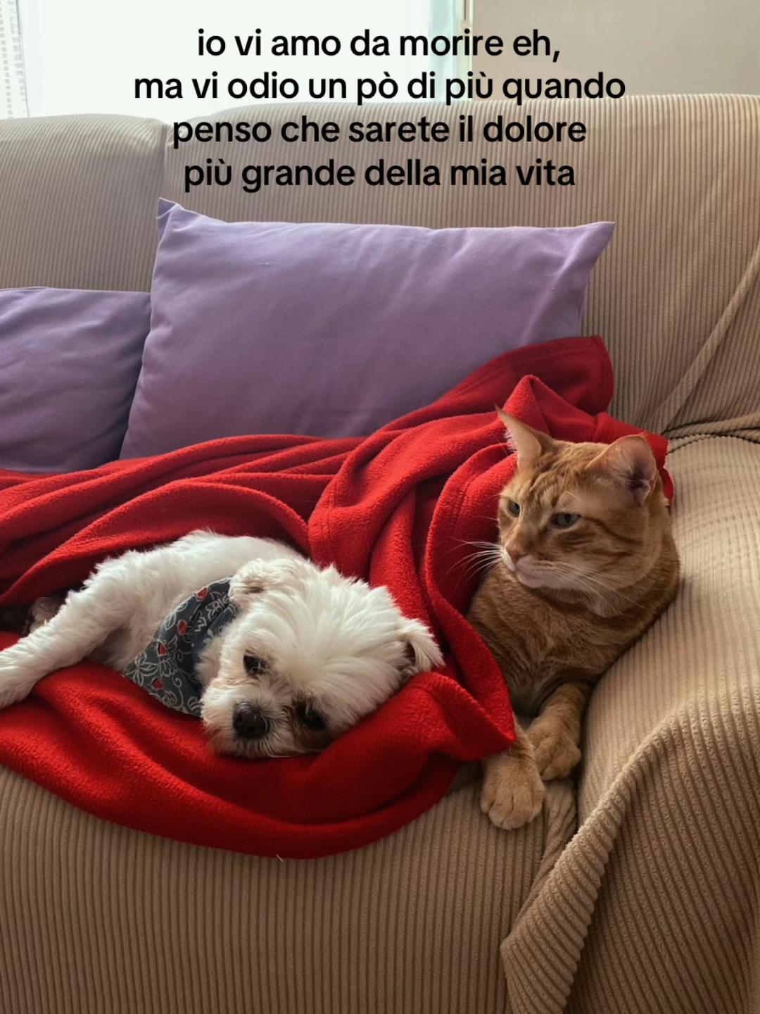 @𝒸𝓁𝒶
