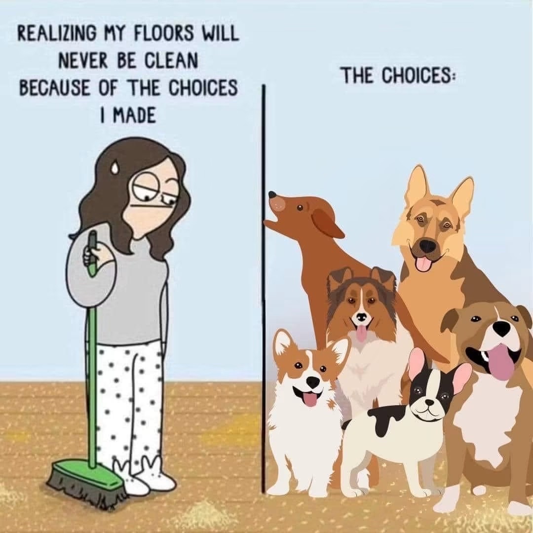 @jennysquared