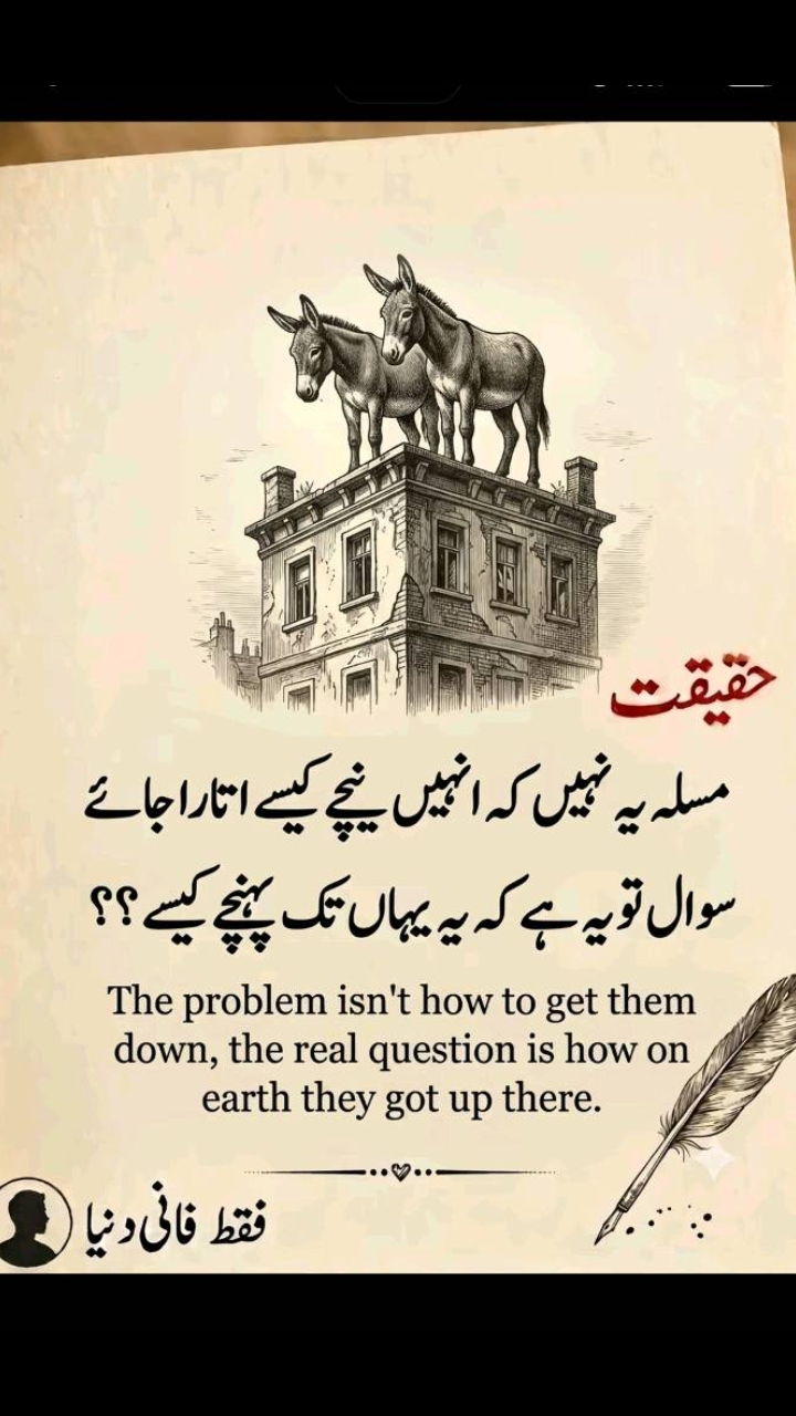 @👑Waqas Biland 👑
