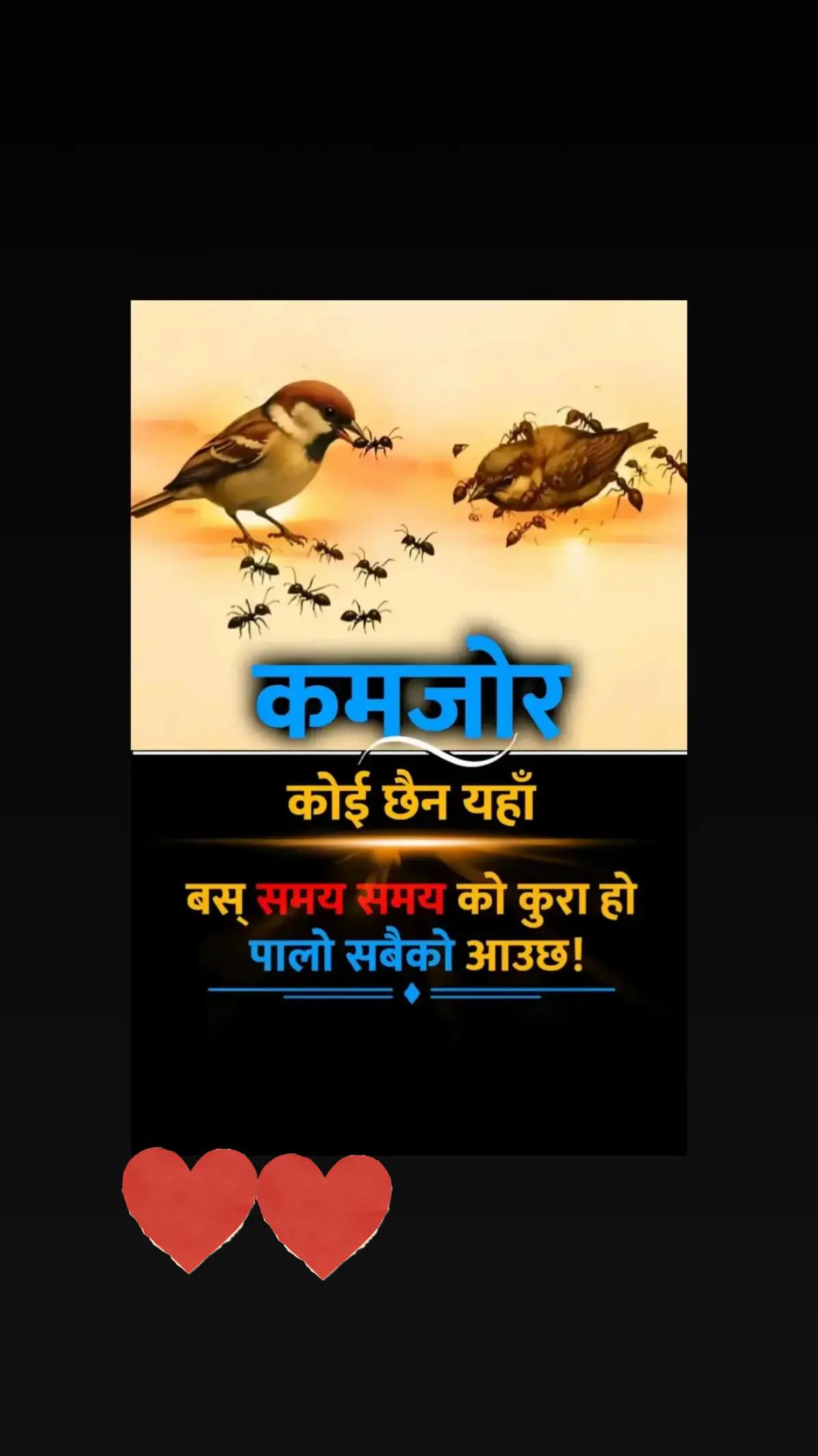 @koshil ❤️ manish