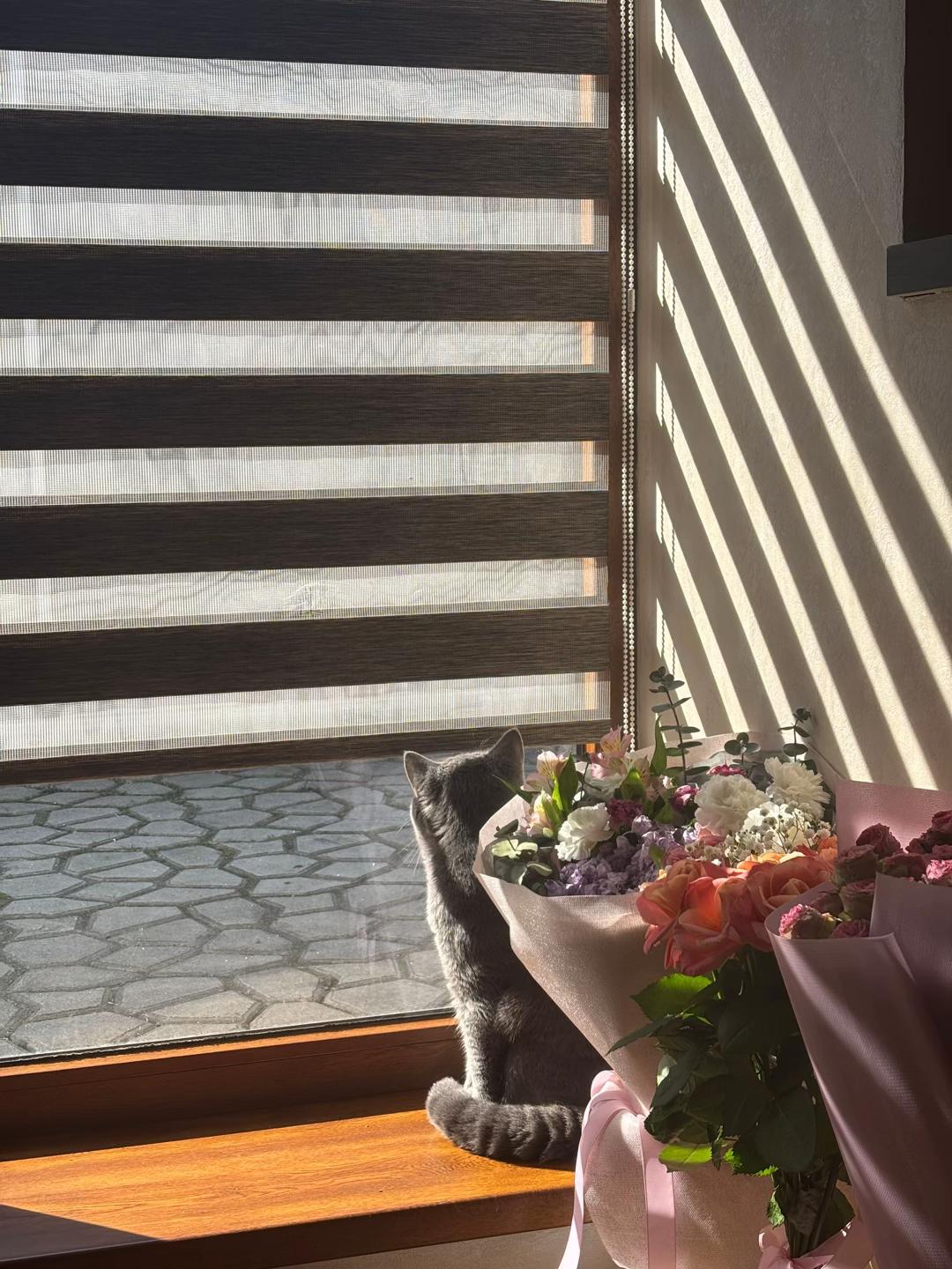 @muurrdi_