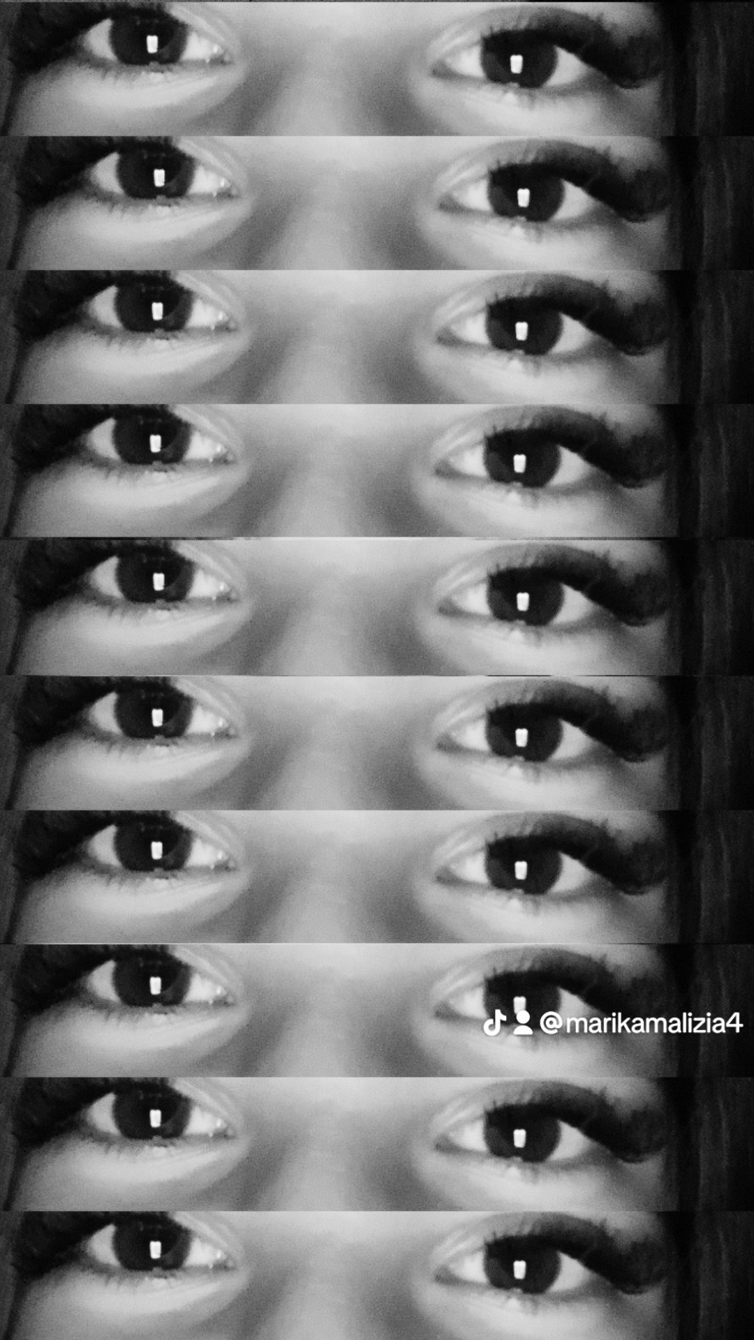 @๐ธ๐ป๐
