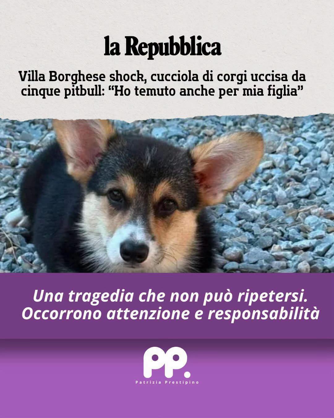 @Patrizia Prestipino