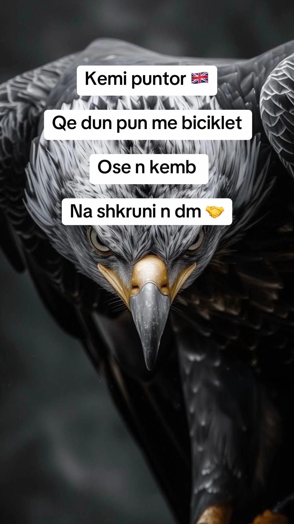 @Shqipe Signal