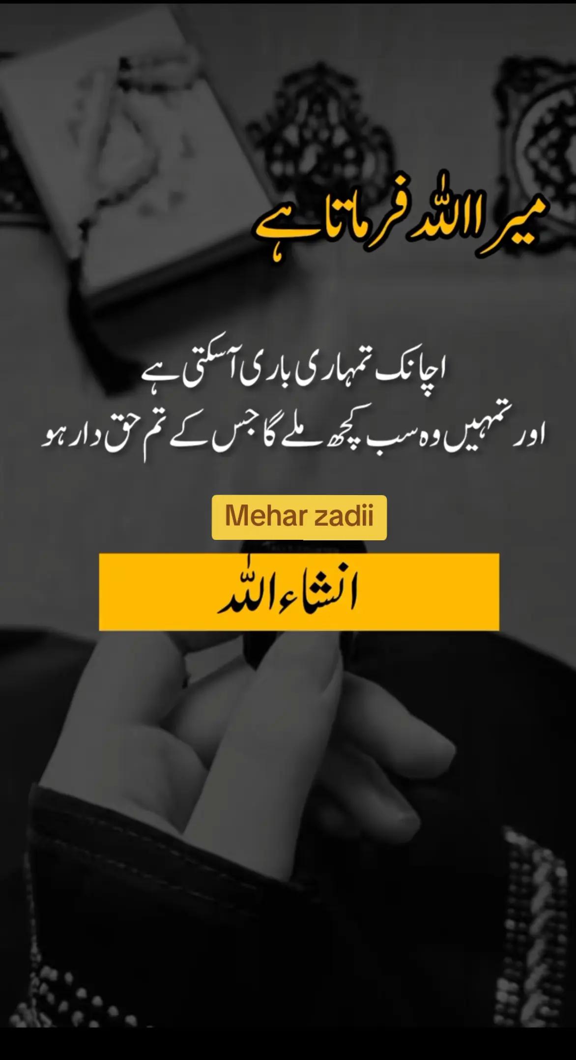 @Mehar Zadi 🖇️🤞🏻