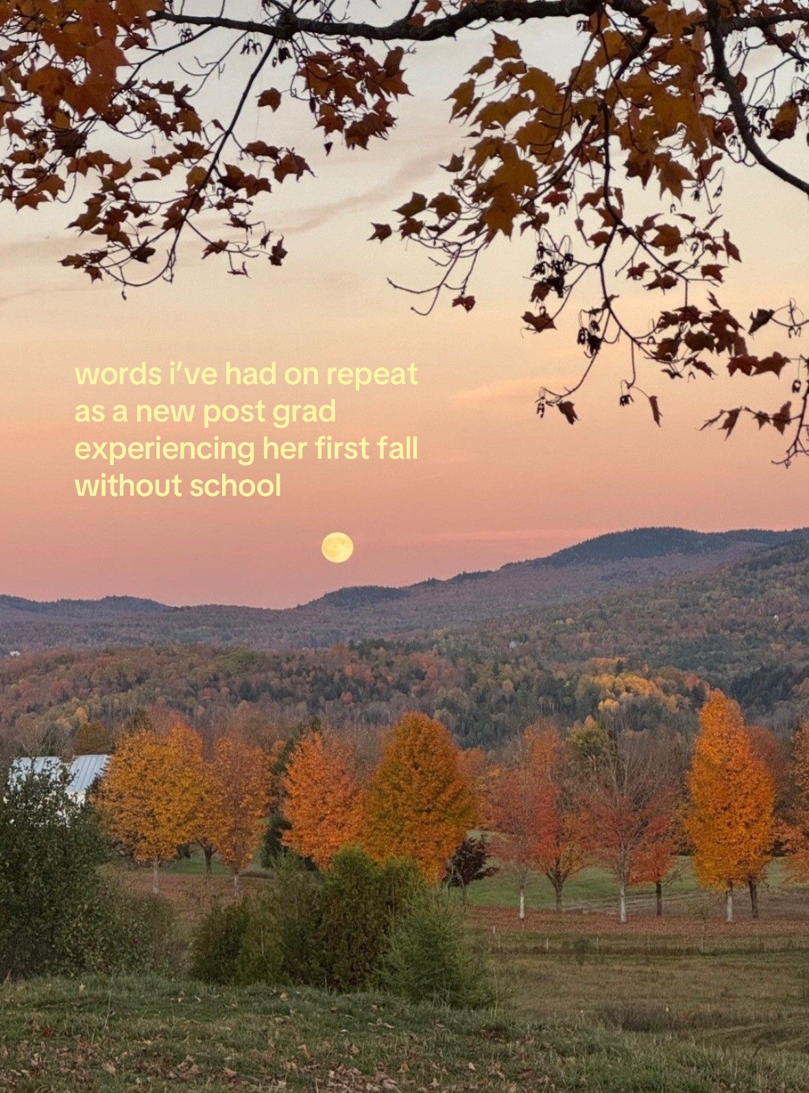 @STELLA