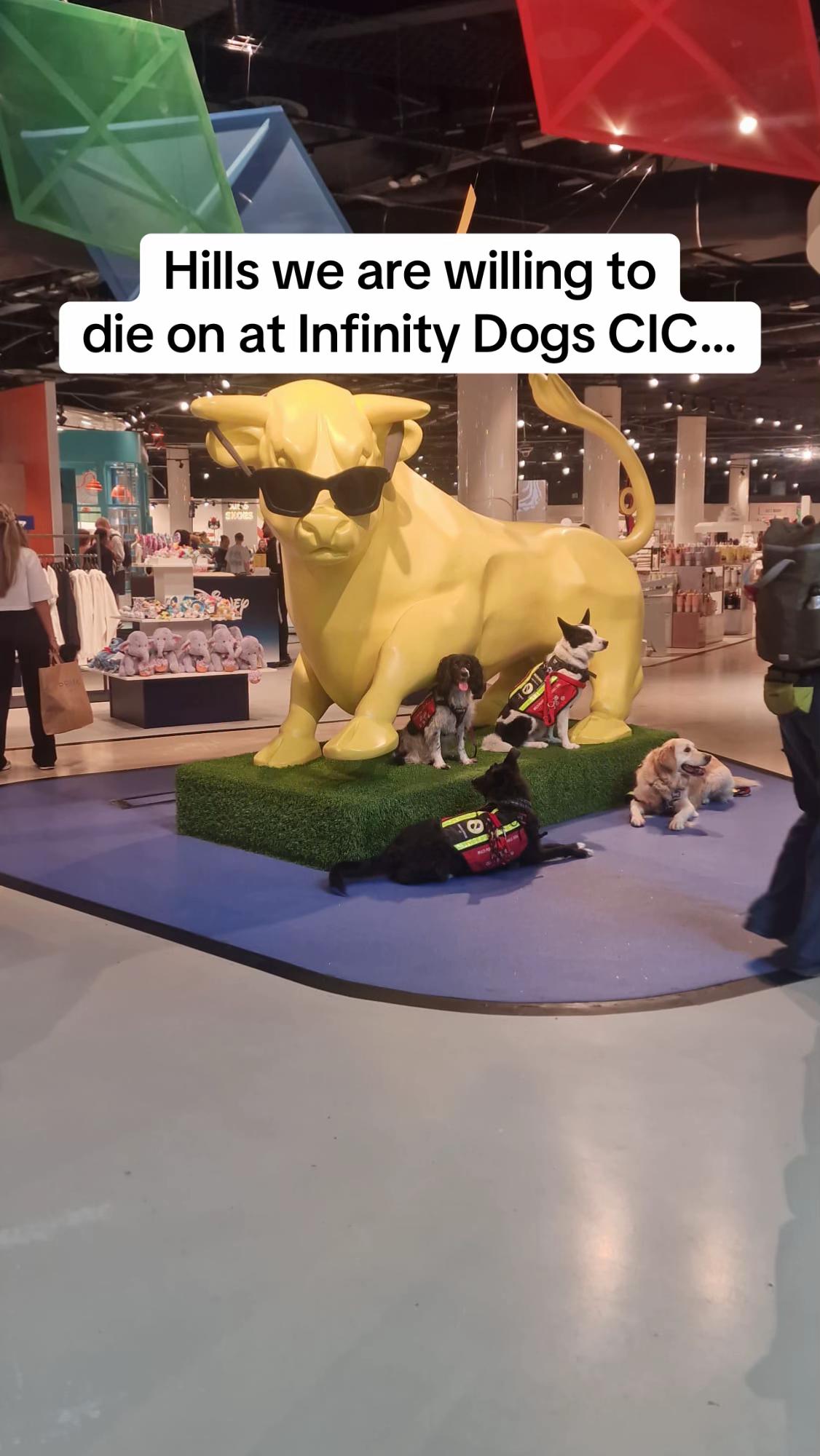 @Infinity Dogs CIC