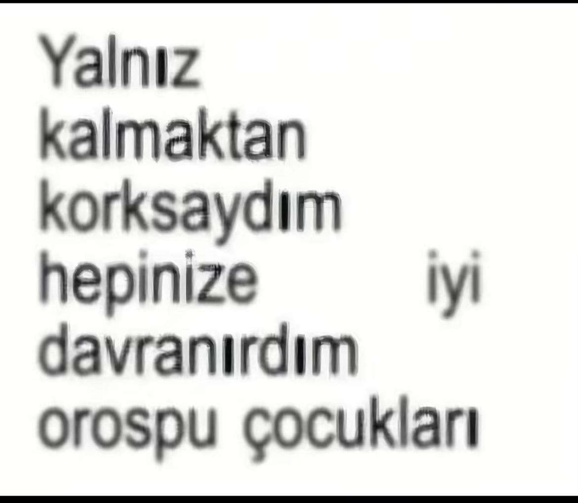 @bilirkisi