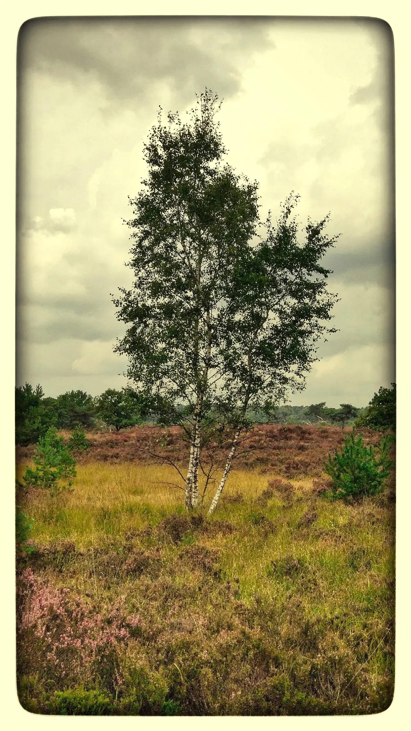 @havr-photo.picfair.com