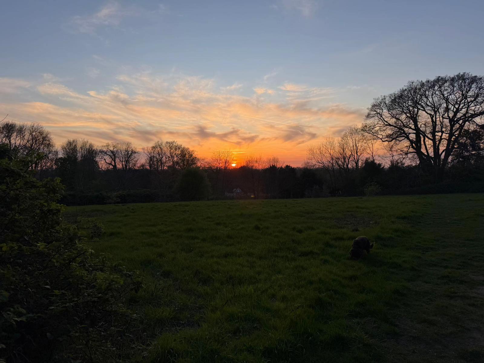 @𝐄.𝐇