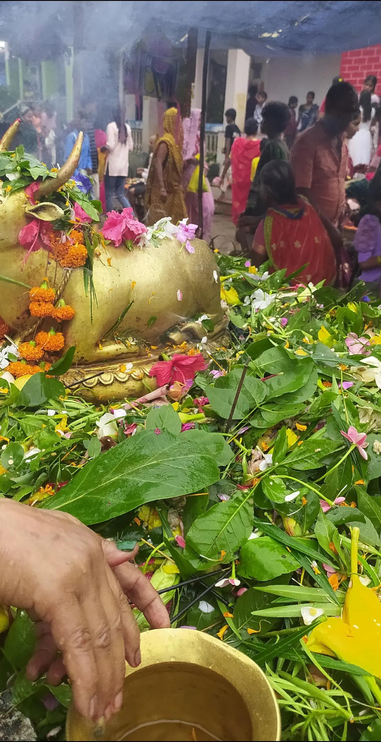 @Rekha sah