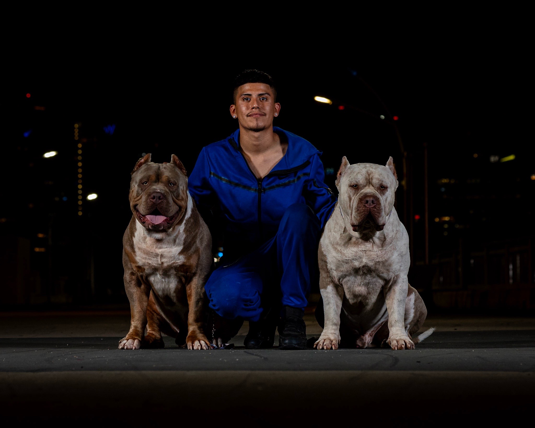@Dtx_dogkennels